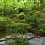 5 consejos para crear un jardín no-jardín. Jardinea Diseño de jardines en Madrid Jardinea Alcobendas Majadahonda