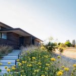 5 consejos para crear un jardín no-jardín. Jardinea Diseño de jardines en Madrid Jardinea Alcobendas Majadahonda