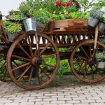 6 razones para contratar un diseñador de jardines profesional. Jardinea Madrid, Alcobendas, Majadahonda, La Moraleja