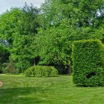 6 razones para contratar un diseñador de jardines profesional. Jardinea Madrid, Alcobendas, Majadahonda, La Moraleja