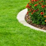 7 plantas que te ayudarán a abrir menos el grifo. Jardineros Madrid Grama