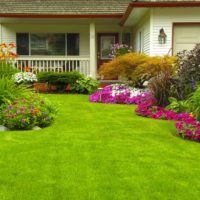 8 consejos esenciales para mantener fresco tu jardín privado Jardinea Diseño de jardines y mantenimiento