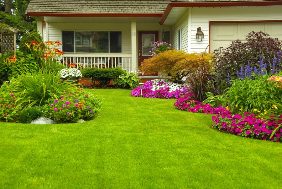 8 consejos esenciales para mantener fresco tu jardín privado Jardinea Diseño de jardines y mantenimiento