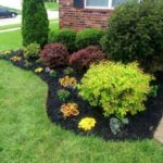 8 consejos esenciales para mantener fresco tu jardín privado Jardinea Diseño de jardines y mantenimiento