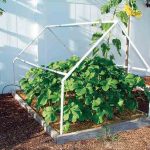 9 Labores para hacer en tu jardin durante el confinamiento por el COVID-19