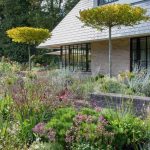 Arboles perfectos para jardines pequeños, o pequeños espacios. Jardinea Diseño de jardines en Madrid Jardinea