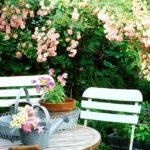 Como darle a tu pequeño jardín ese factor sorpresa Diseño de jardines y mantenimiento en Madrid