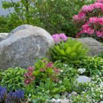 Como diseñar un jardín de rocas. Parte 1