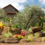 Como diseñar un jardín de rocas. Parte 1