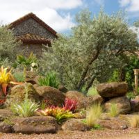 Como diseñar un jardín de rocas. Parte 1