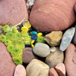 Como diseñar un jardín de rocas. Parte 1
