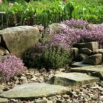 Como diseñar un jardín de rocas. Parte 1