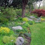 Como diseñar un jardin de rocas. Parte 2