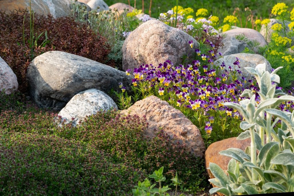 Como diseñar un jardín de rocas. Diseño de jardines en Madrid - Jardinea.