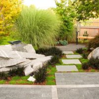 Como diseñar un jardin de rocas. Parte 2