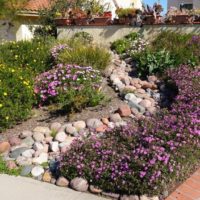 Como diseñar un jardin de rocas. Parte 3
