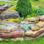 Como diseñar un jardin de rocas. Parte 3
