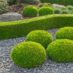 Como diseñar un jardin de rocas. Parte 3