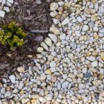 Como diseñar un jardin de rocas. Parte 3