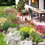 Como diseñar un jardin de rocas. Parte 4