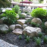 Como diseñar un jardin de rocas. Parte 5-