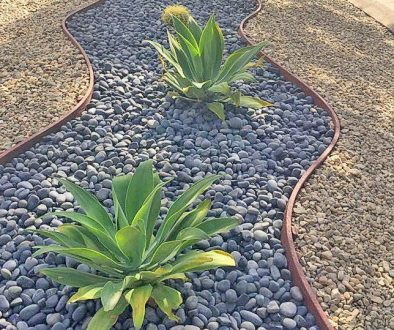 Como diseñar un jardin de rocas. Parte 5-