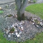 Como diseñar un jardin de rocas. Parte 5-