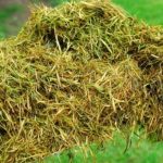 Como hacer camas de mantillo para huertos. Jardineros en Madrid Jardinea