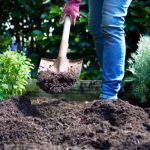 Cómo preparar en otoño, tu huerto de primavera Jardineros profesionales de madrid (1)