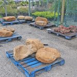 Consejos para diseñar un jardin de rocas. Diseño de jardines en Madrid 0
