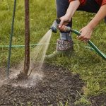 Consejos para el riego de arboles proyerctos de paisajismo y obras en madrid jardinea