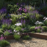 Consejos perfectos para iniciarte en la Jardinería ecológica 1