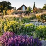 Consejos perfectos para iniciarte en la Jardinería ecológica