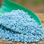 Cual es el mejor fertilizante para plantas de interior Jardineros en Madrid Jardinea