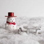 Cuidados del césped en invierno - Mantenimiento y Diseño de jardines en Madrid Jardinea