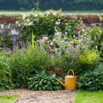 Descubre gratis las tendencias de diseño para tu jardin