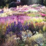 Descubre gratis las tendencias de diseño para tu jardin