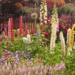 Descubre gratis las tendencias de diseño para tu jardin