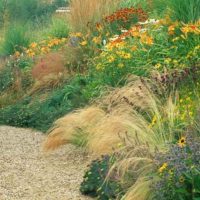 Descubre gratis las tendencias de diseño para tu jardin