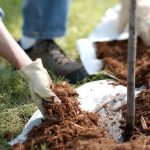 Descubre que es el mulching, y conoce todos sus beneficios . Jardinea Jardineros Profesionales en Madrid. Mantenimiento y Diseño de jardines.