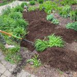 Descubre que es el mulching, y conoce todos sus beneficios . Jardinea Jardineros Profesionales en Madrid. Mantenimiento y Diseño de jardines.