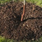 Descubre que es el mulching, y conoce todos sus beneficios . Jardinea Jardineros Profesionales en Madrid. Mantenimiento y Diseño de jardines.