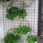 Diseño de jardines en Madrid Jardinea. Como decorar tu jardín con luces y otros accesorios