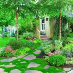 Diseño de jardines-paisajismo y mantenimiento Jardinea musgo escoces y musgo irlandes