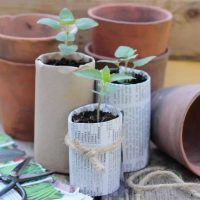 Diseño jardines Madrid Jardinea - Diseño de Jardines sostenibles