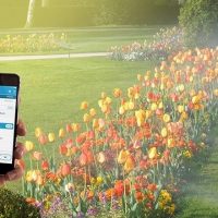 Diseño jardines Madrid Jardinea - Diseño de Jardines usando tecnologia