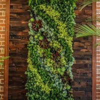 Diseño jardines Madrid Jardinea - Diseño de Jardines verticales
