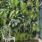 Diseño jardines Madrid Jardinea - Diseño de Jardines verticales