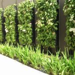 Diseño jardines Madrid Jardinea - Diseño de Jardines verticales