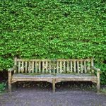 Diseño jardines Madrid Jardinea - Estos son los cinco tipo de setos de mayor altura